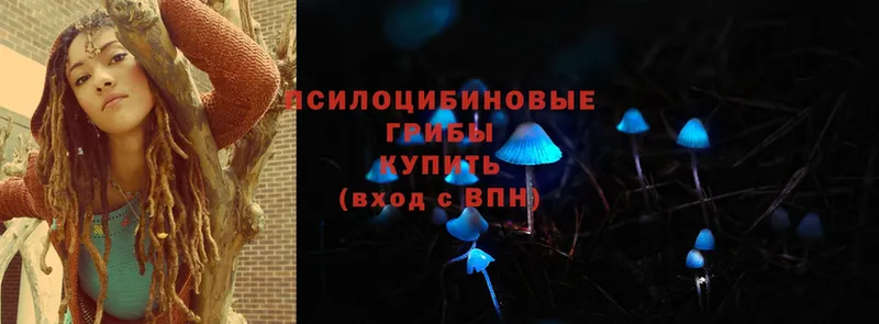 Псилоцибиновые грибы Psilocybine cubensis  Тулун 